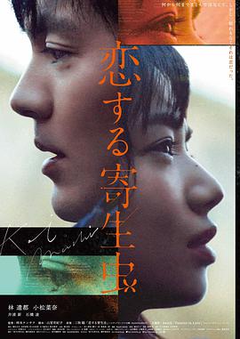 电影第七次日落海报